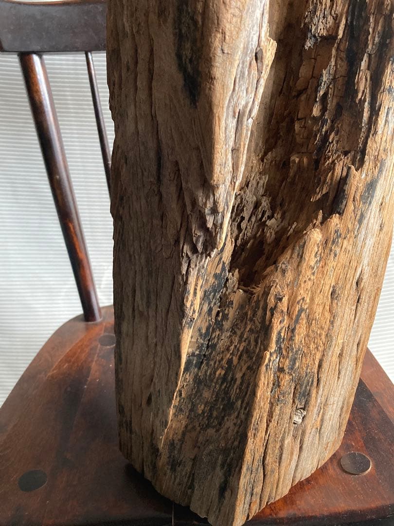 古物　朽ちた木芯　オブジェ　骨董