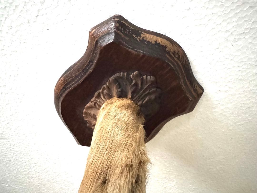 アンティーク★鹿の足壁掛け 剥製　undercover 高橋盾