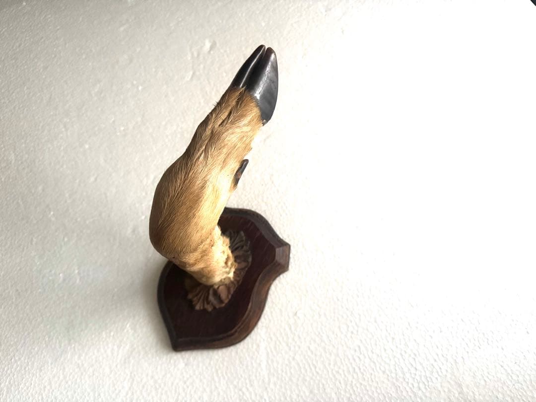 アンティーク★鹿の足壁掛け 剥製　undercover 高橋盾