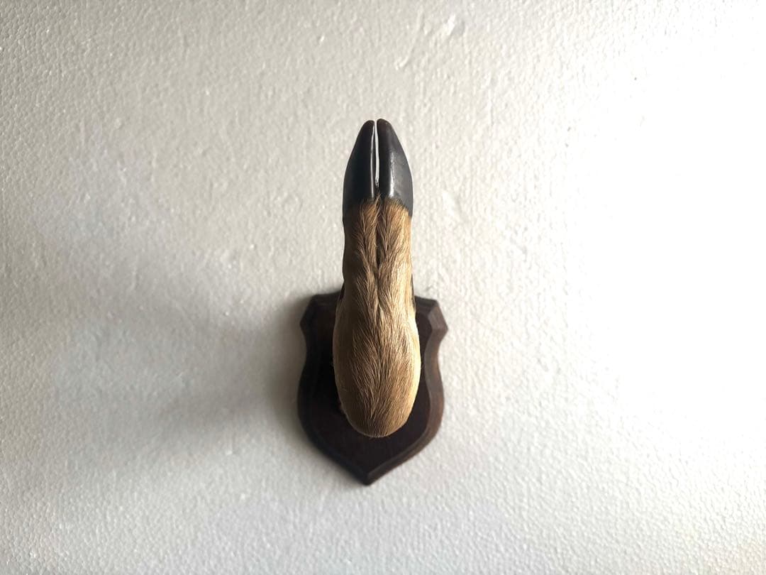 アンティーク★鹿の足壁掛け 剥製　undercover 高橋盾