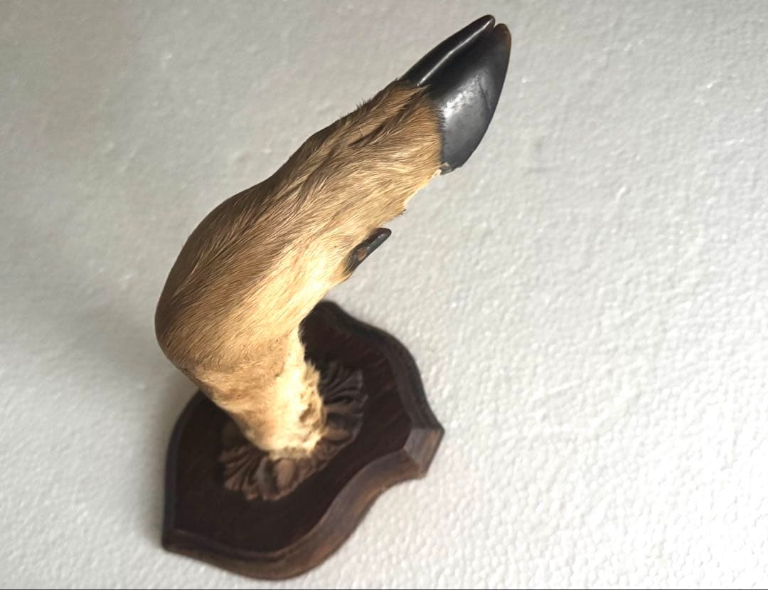 アンティーク★鹿の足壁掛け 剥製　undercover 高橋盾