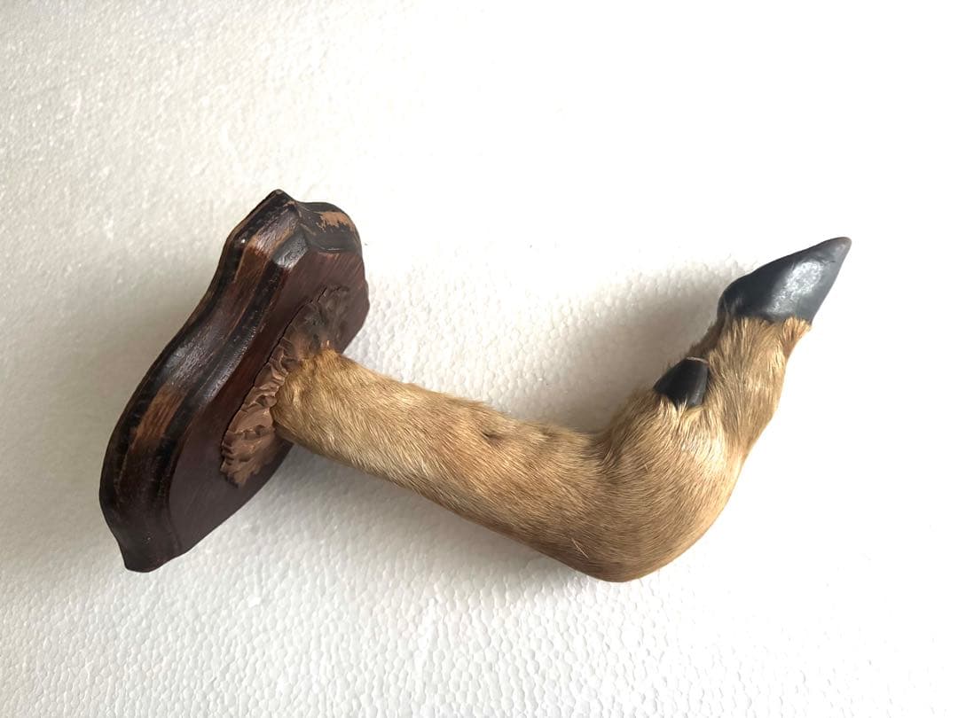 アンティーク★鹿の足壁掛け 剥製　undercover 高橋盾