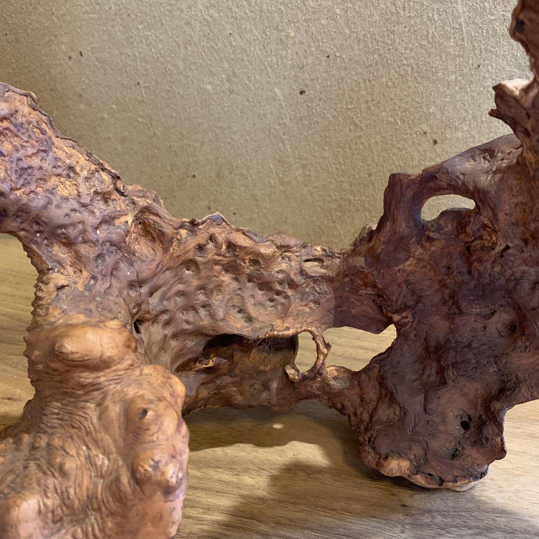 変木 天然木 飾り木 龍 動物 インテリア 工芸品 木工 木彫 - メルカリ