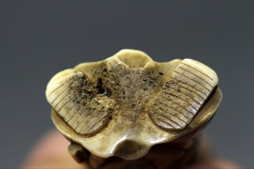 時代物 根付 「鍾馗さま」疱瘡除け おまじない IS1