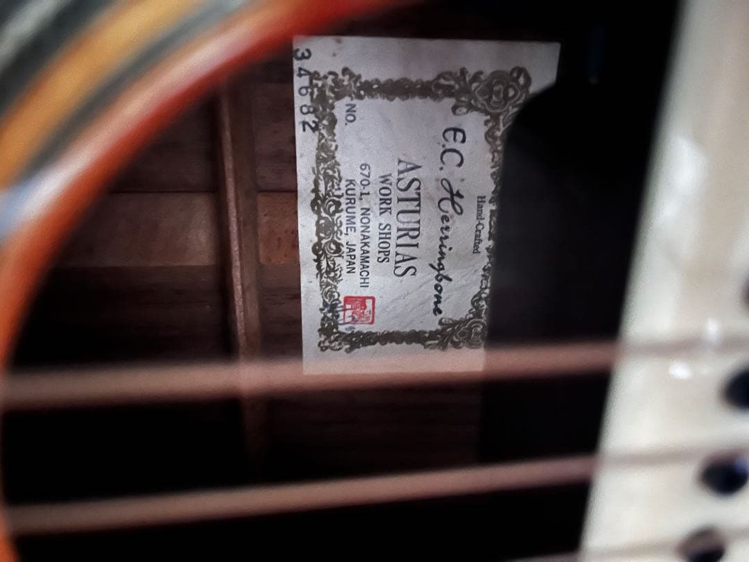 ASTURIAS EC HERRINGBONE L.R.Baggs / M1