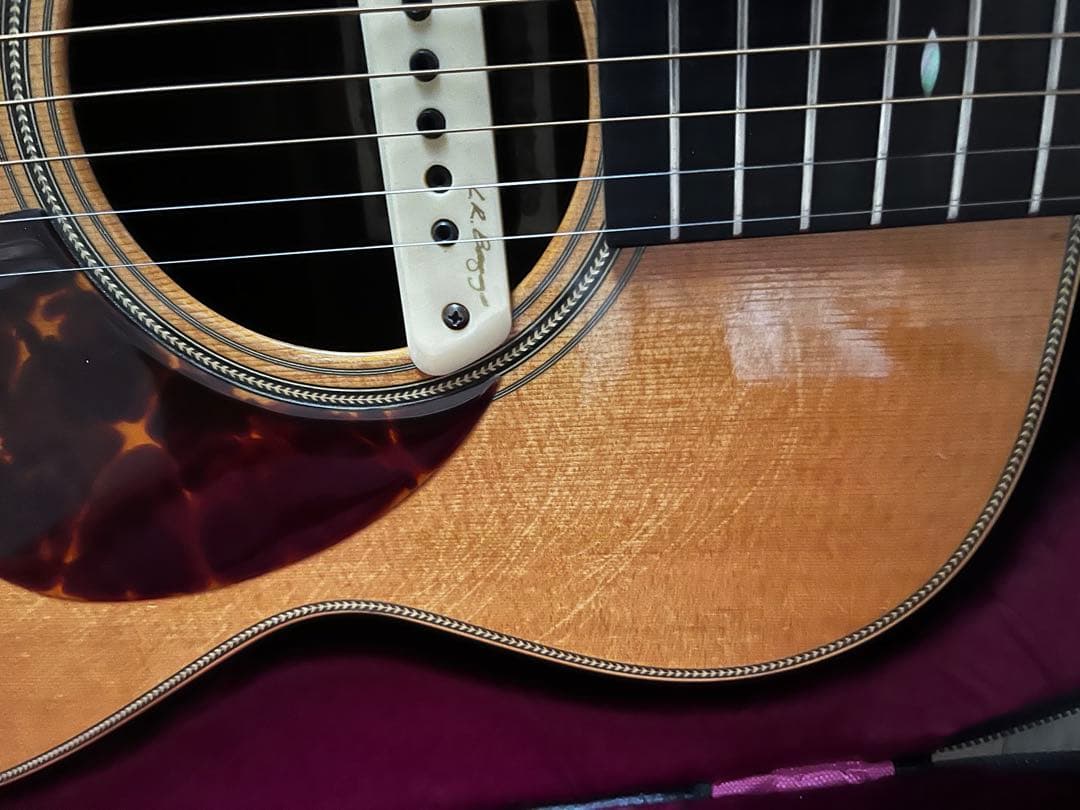 ASTURIAS EC HERRINGBONE L.R.Baggs / M1