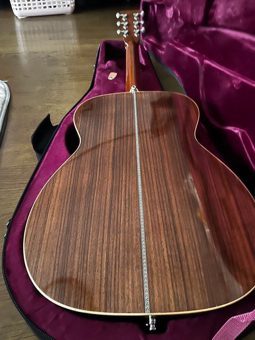 ASTURIAS EC HERRINGBONE L.R.Baggs / M1