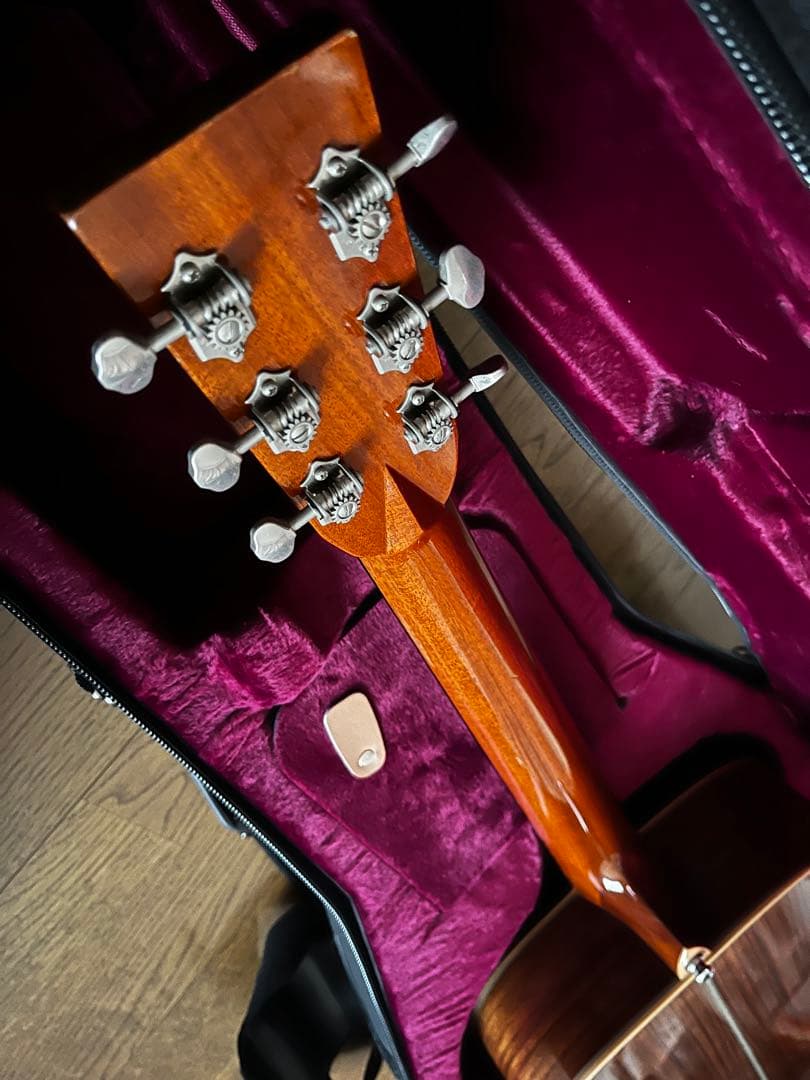 ASTURIAS EC HERRINGBONE L.R.Baggs / M1