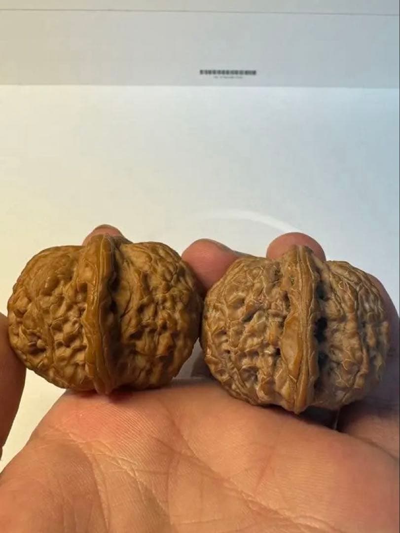 セール中　血麒麟核桃 極上逸品