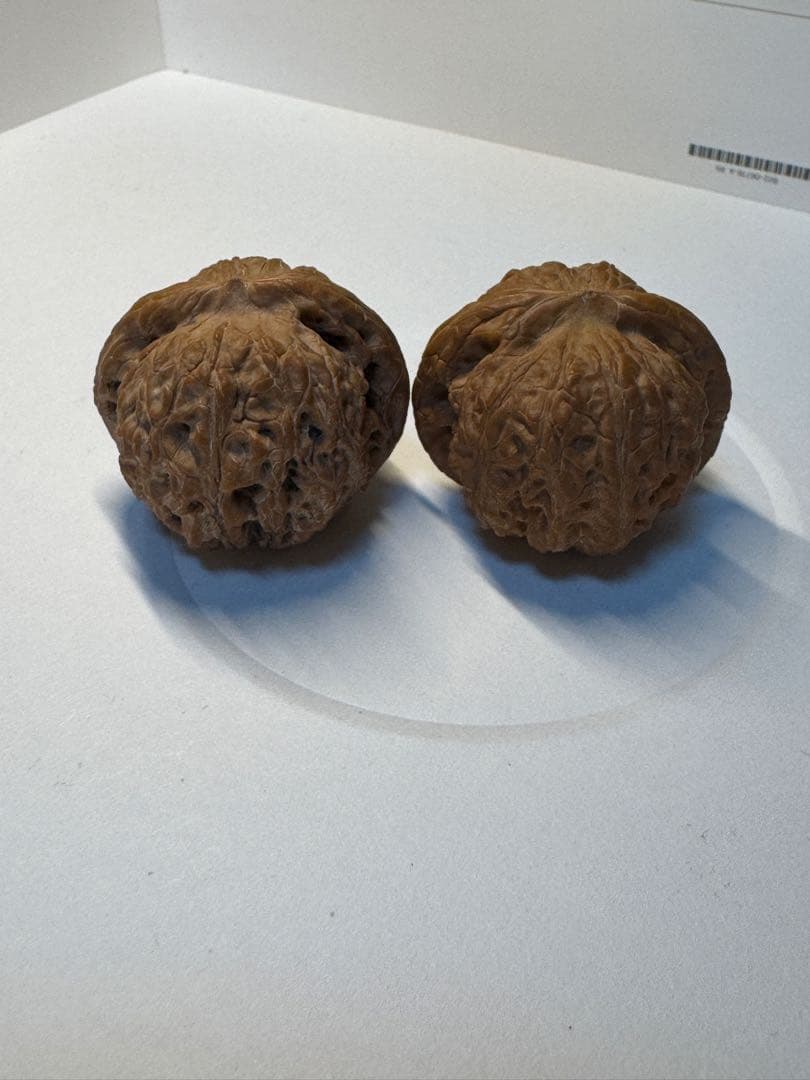 セール中　血麒麟核桃 極上逸品