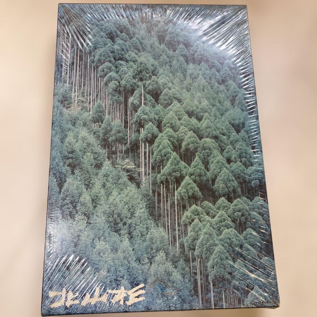 森林の風景ジグソーパズル 1000ピース - メルカリ