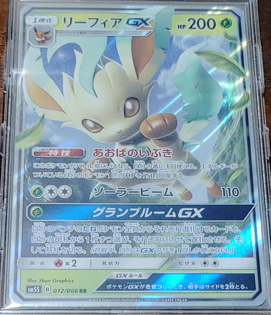 ☆週末限定セール☆ブイズGX9枚セット