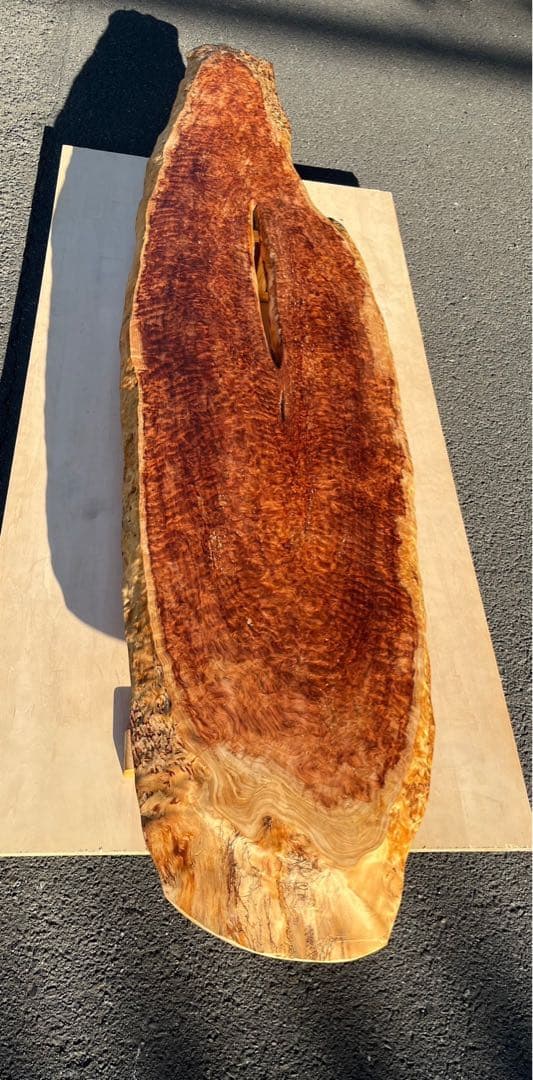 たのメル便] 天杉 漣杢(さざなみもく) ローテーブル 無垢材 新品未使用