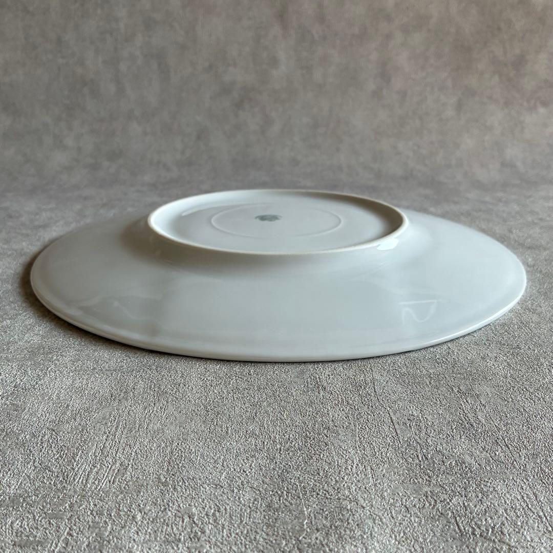 フランス PILLIVUYT ストライプ ディナープレート 31.5cm