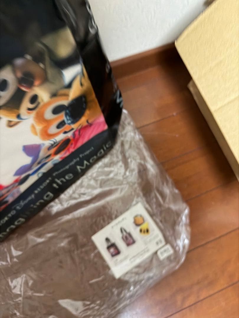 ディズニー イマジニングザマジックバッグ 実写 カメラバッグ＋パス