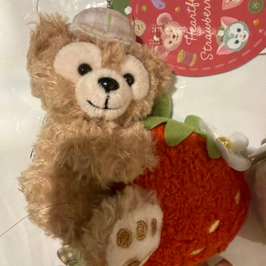 顔厳選 新品未使用ハートフェルトストロベリーギフト ぬいぐるみ