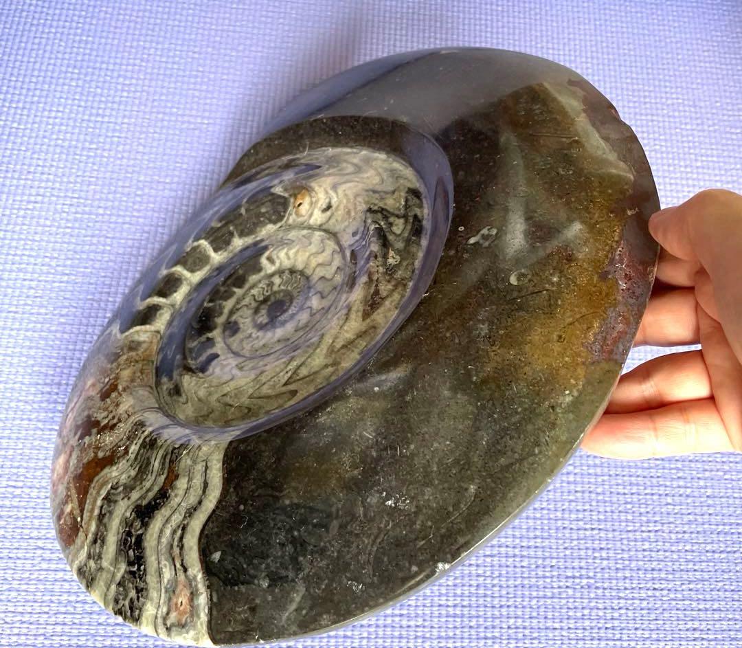 値下げ‼️【ビックサイズ 】アンモナイト化石26.5cm×31cm 4.5cm