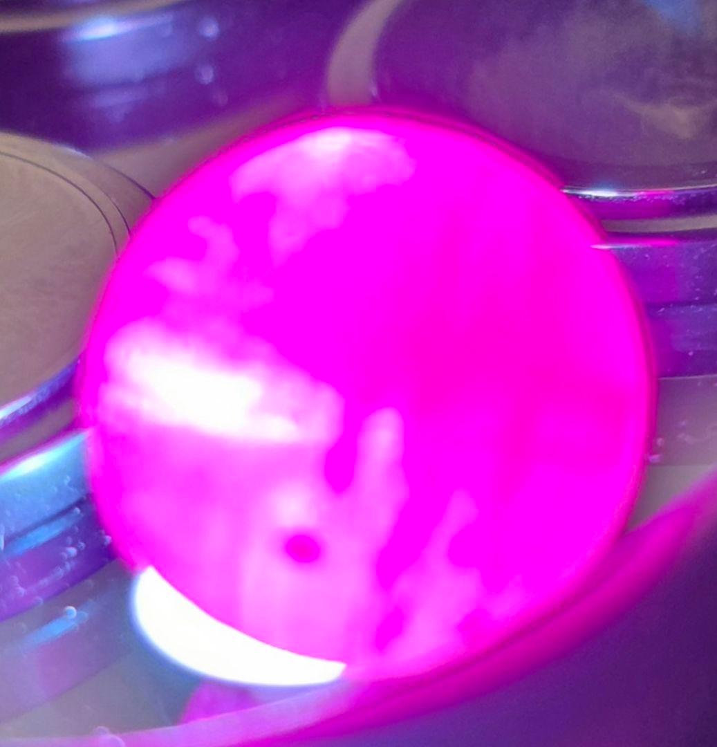 【宝石の女王・勝利の赤】天然ルビー 11mm（極上発色/コランダム/ルース）