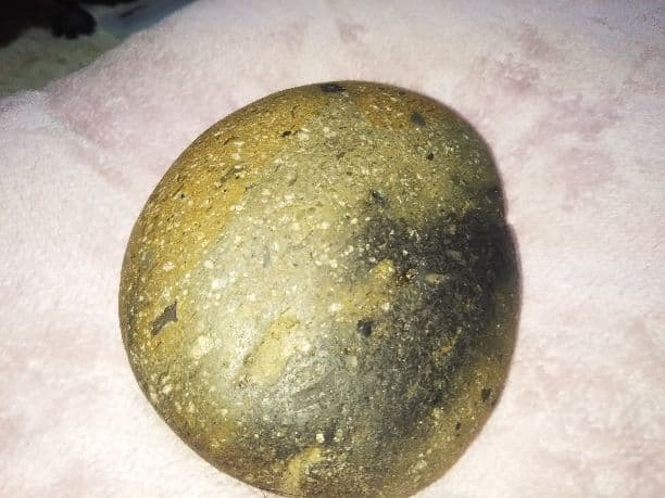 頭石、霊峰、桜石、そして金箔を張ったような紋様の桜石です。