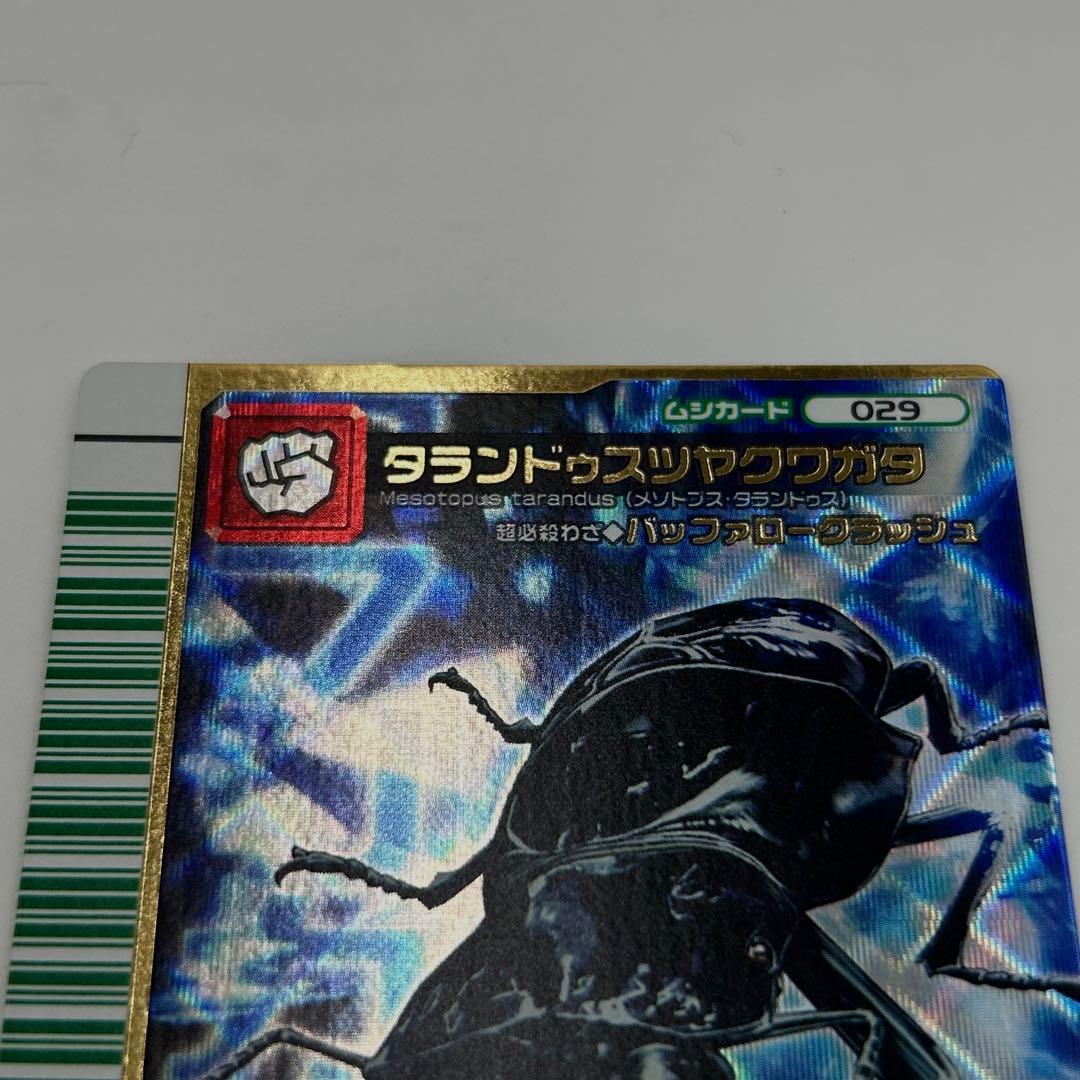 ムシキング】タランドゥスツヤクワガタ 2007ファースト - メルカリ