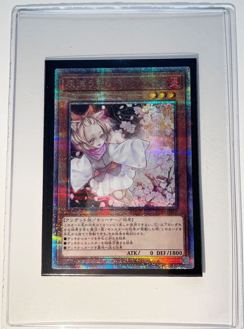 世界に1枚】 遊戯王 魔知ガエル レア 韓亜版 PSA10 CRMS-AE