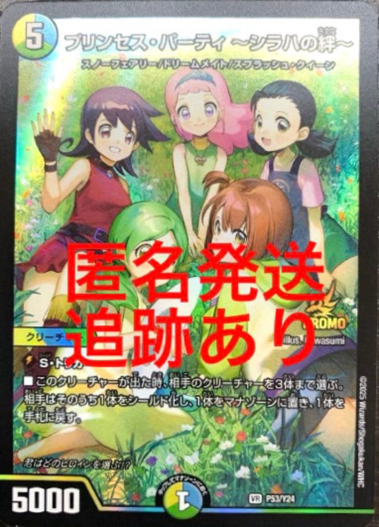 プリンセス・パーティ ～シラハの絆 プロモ - メルカリ