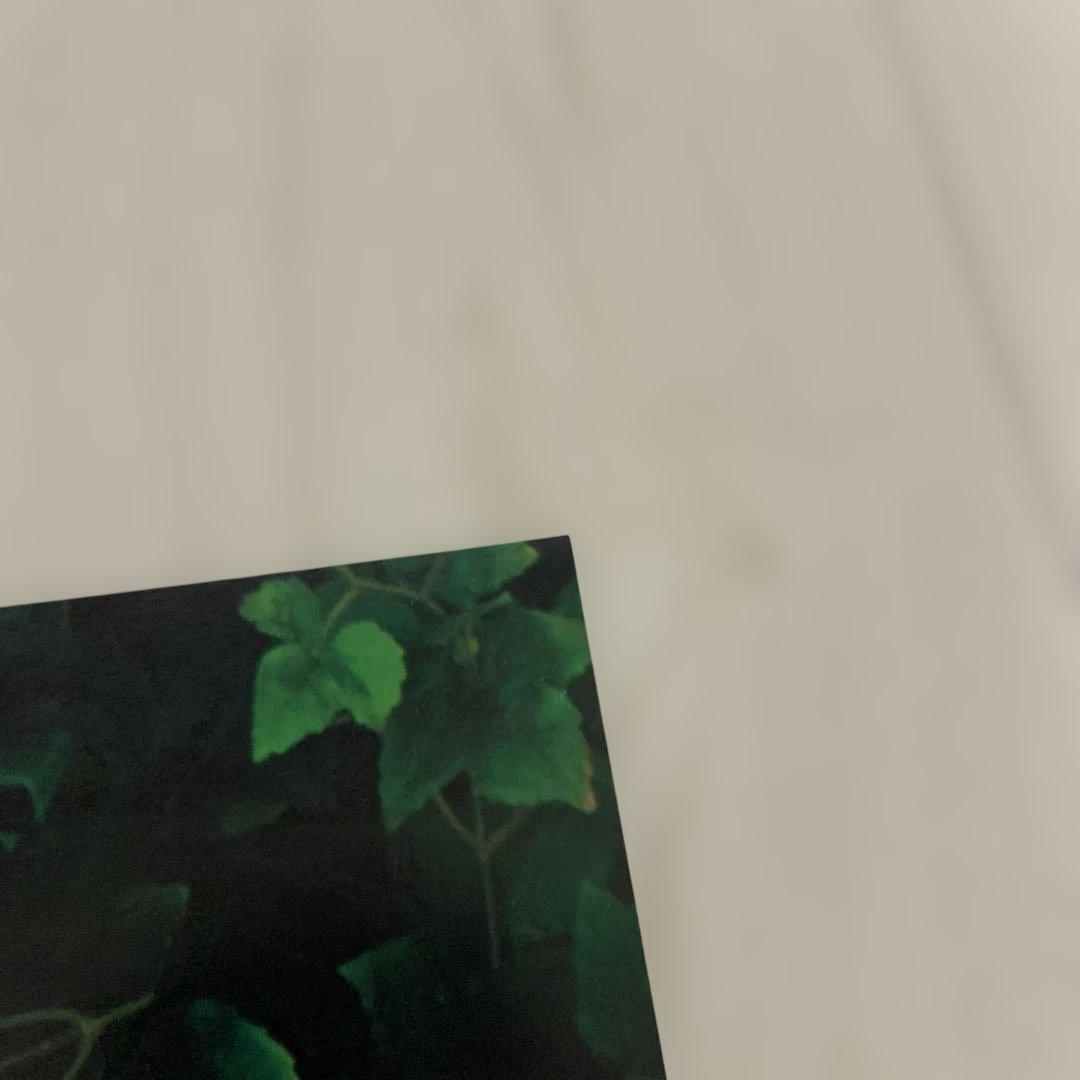 西野カナ Love Collection mint 直筆サイン アルバム当選品 - メルカリ