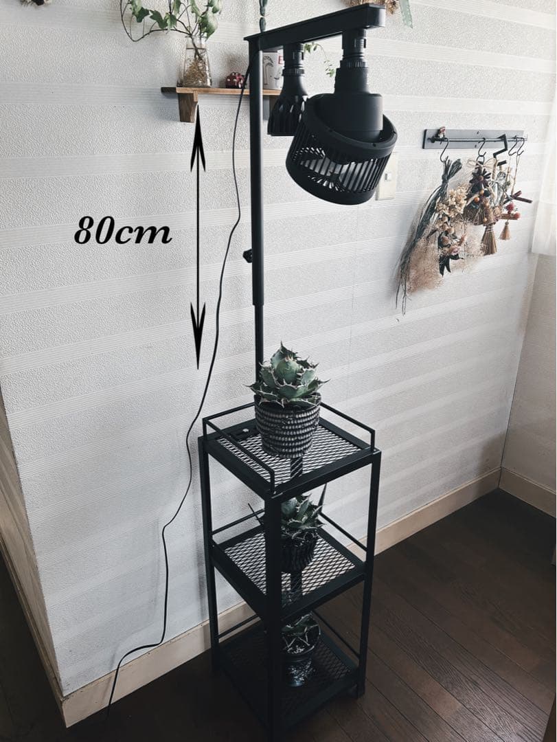 ☆送料込み☆アイアン植物棚　即購入OK ライトレール付　ボタニカル　アガベ　塊根