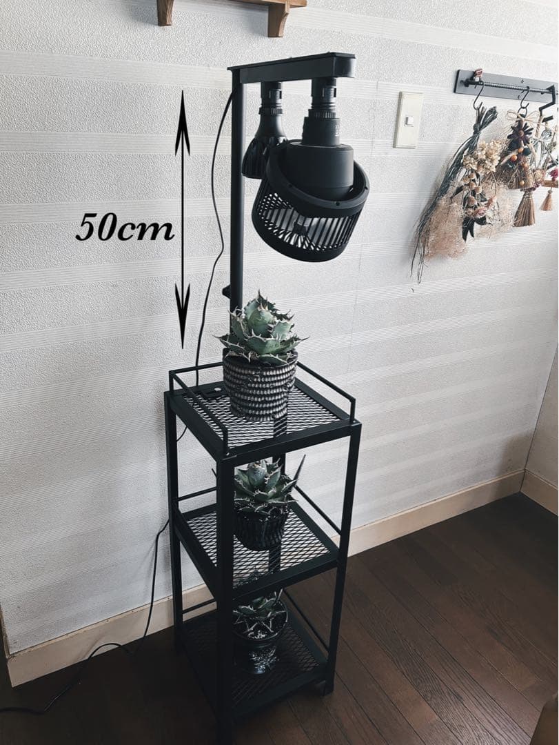 ☆送料込み☆アイアン植物棚　即購入OK ライトレール付　ボタニカル　アガベ　塊根