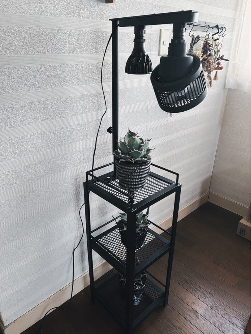 ☆送料込み☆アイアン植物棚　即購入OK ライトレール付　ボタニカル　アガベ　塊根