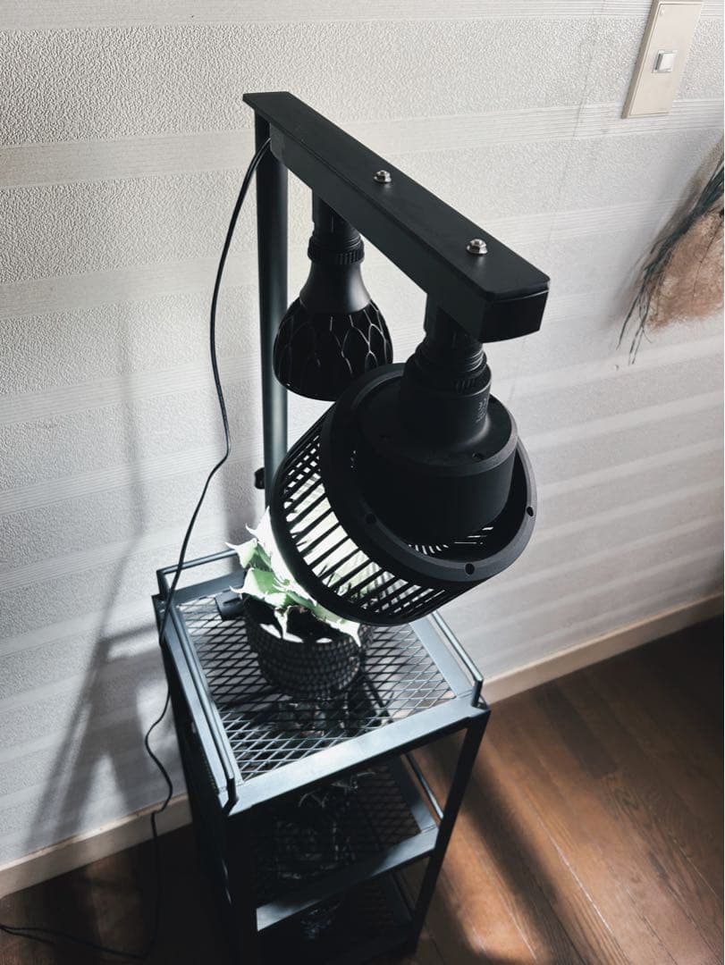 ☆送料込み☆アイアン植物棚　即購入OK ライトレール付　ボタニカル　アガベ　塊根