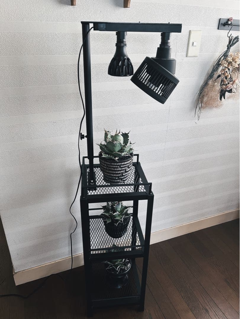 ☆送料込み☆アイアン植物棚　即購入OK ライトレール付　ボタニカル　アガベ　塊根