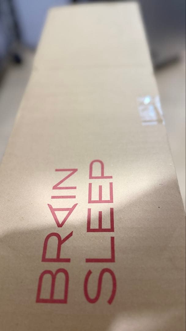 BRAIN SLEEP NEW WAVE 枕 ピローカバー