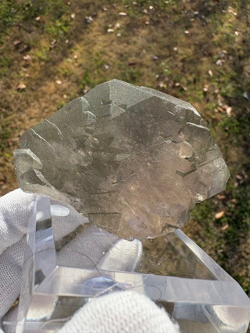 【匿名発送】フランス産スモーキーグインデル