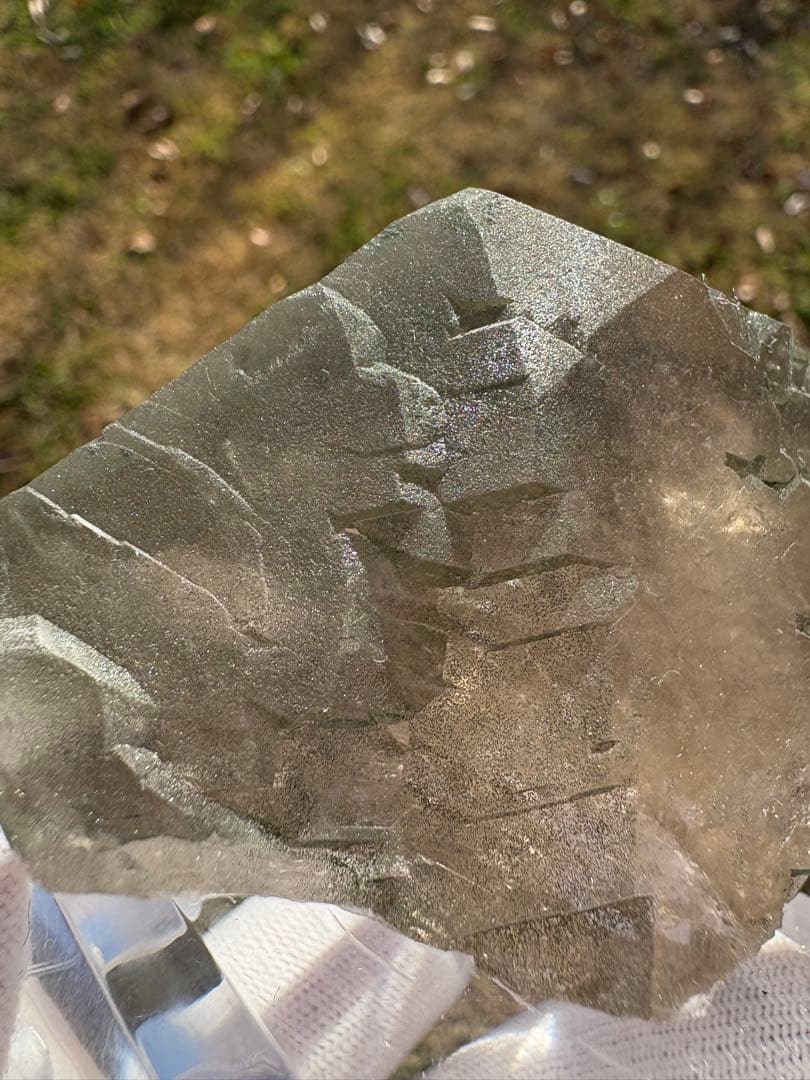 【匿名発送】フランス産スモーキーグインデル