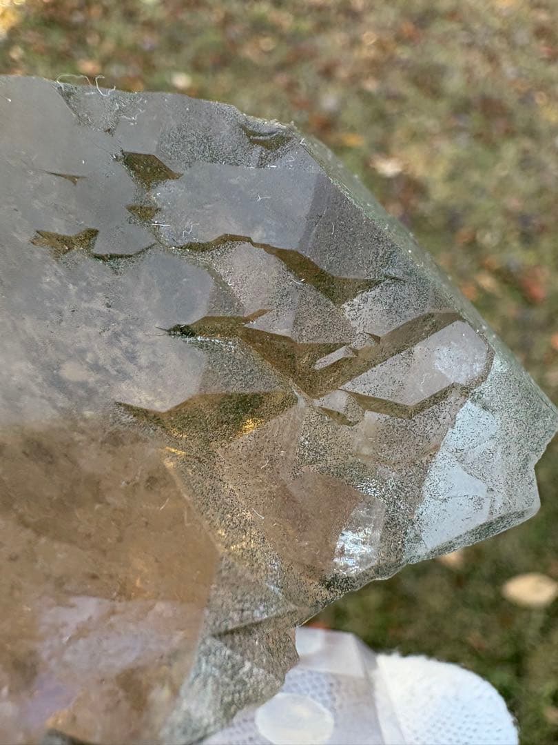 【匿名発送】フランス産スモーキーグインデル