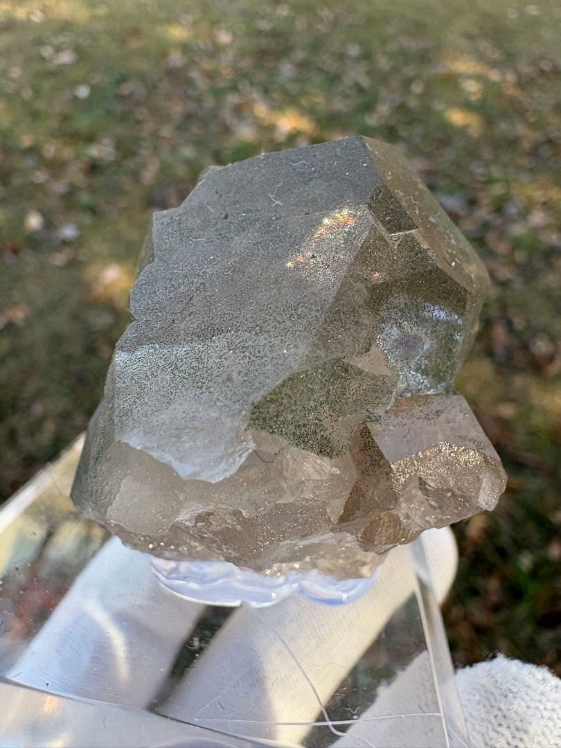 【匿名発送】フランス産スモーキーグインデル