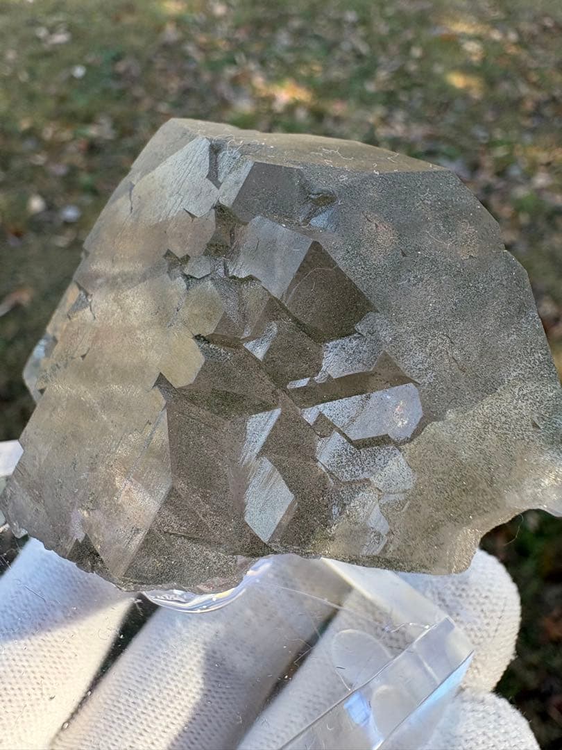 【匿名発送】フランス産スモーキーグインデル