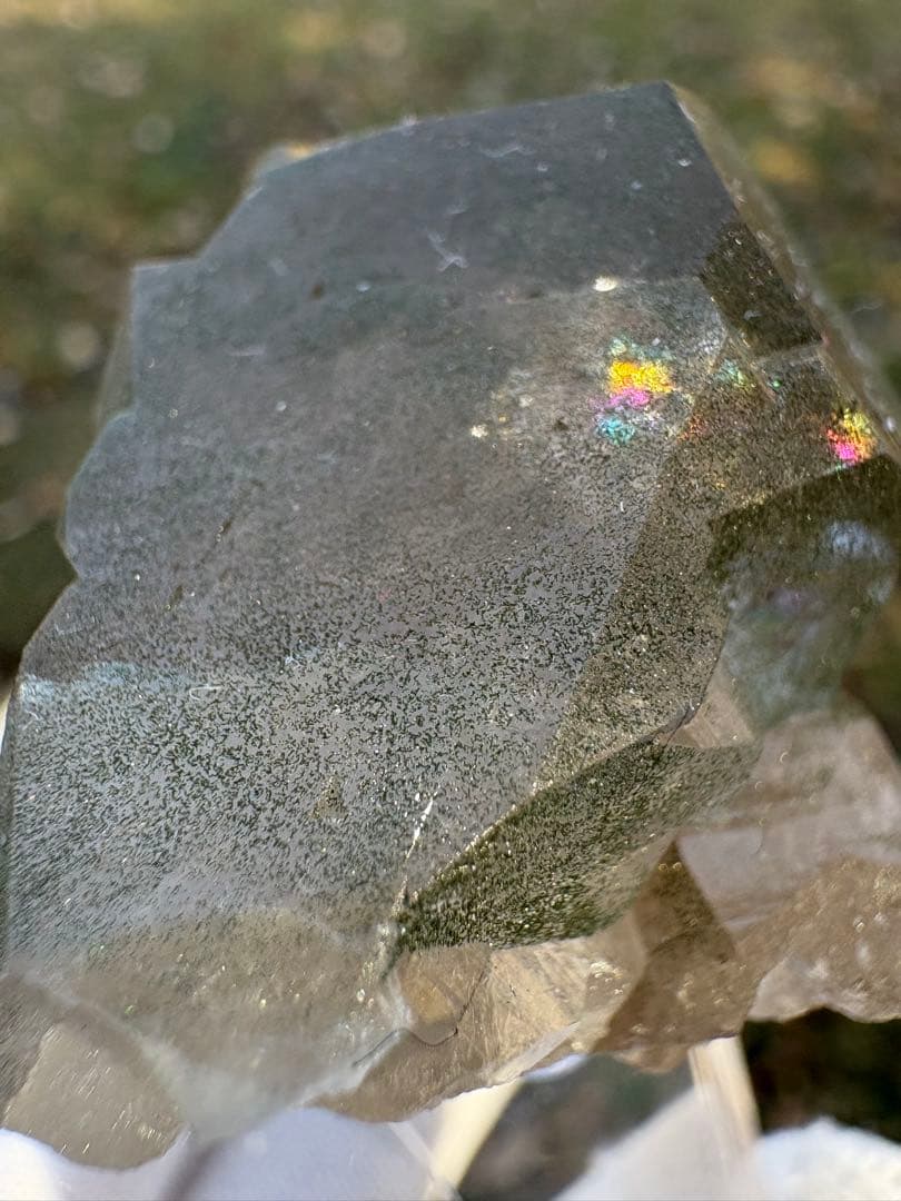 【匿名発送】フランス産スモーキーグインデル