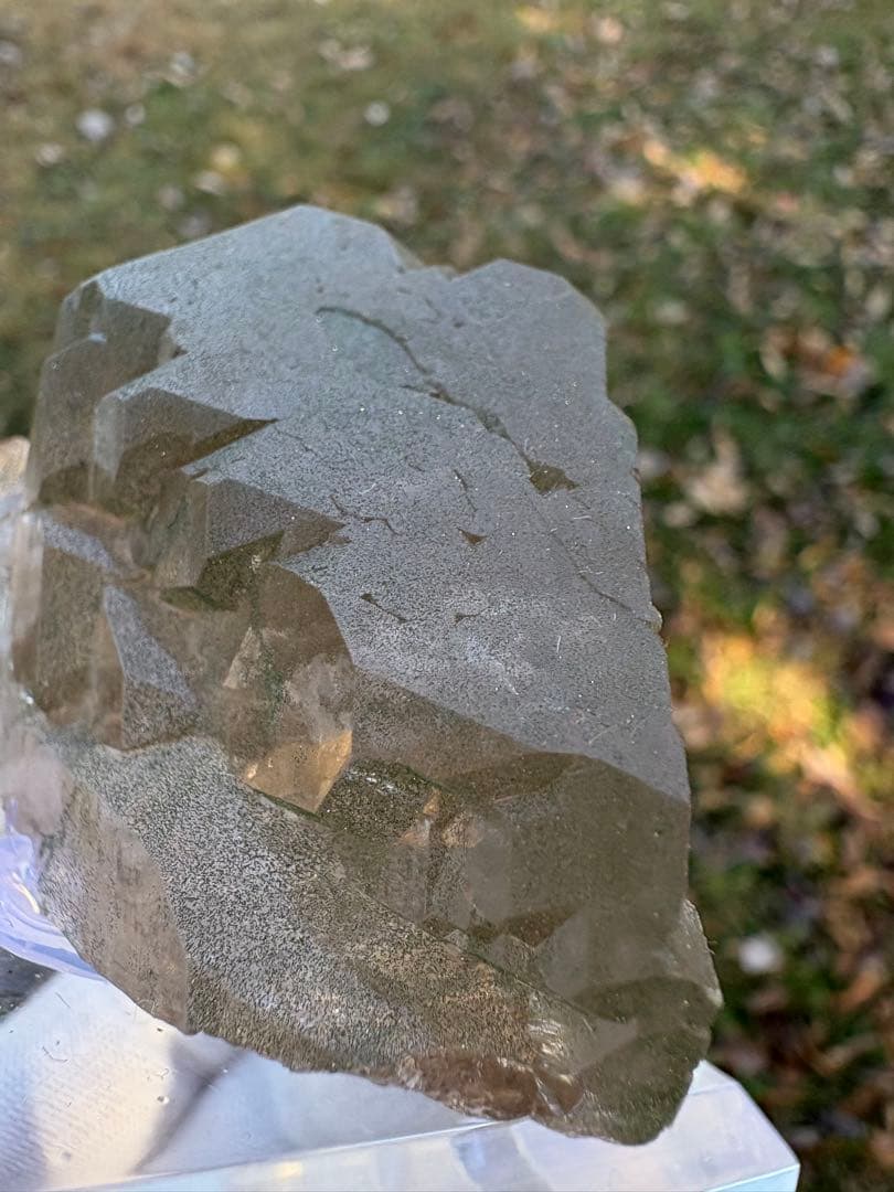 【匿名発送】フランス産スモーキーグインデル