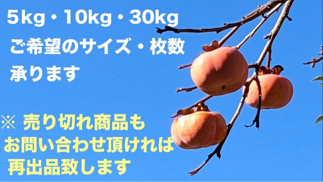 柿渋米袋：30kg x10袋 ５度塗り