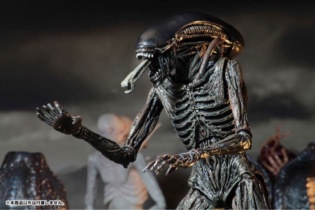 激レア NECA エイリアン コヴェナント ゼノモーフ ALIEN プロトモーフ