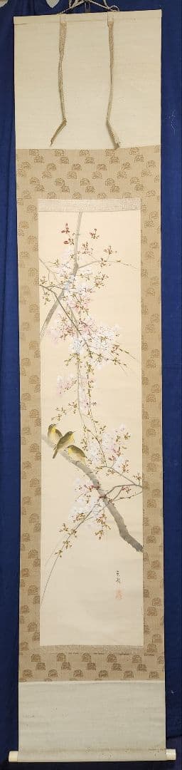 桜花目白図】今井景樹 2669 サクラにメジロ 共箱 掛け軸 肉筆 - メルカリ