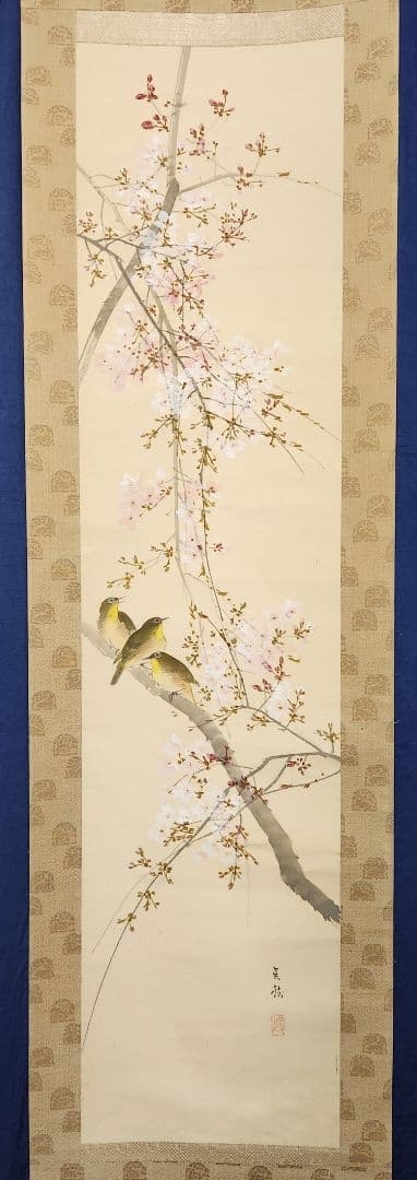 桜花目白図】今井景樹 2669 サクラにメジロ 共箱 掛け軸 肉筆 - メルカリ