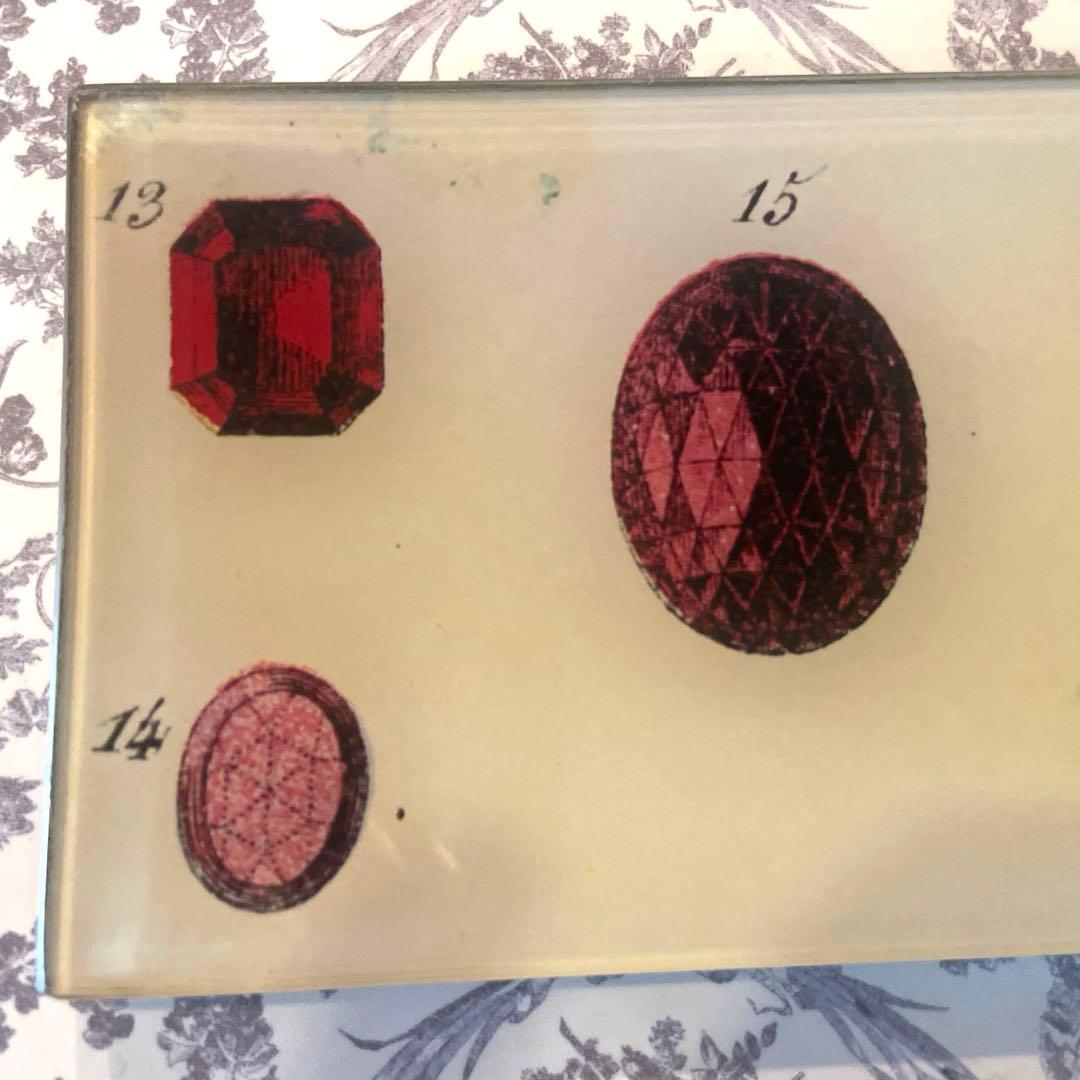 JOHN DERIAN ジョンデリアン デコパージュ プレート トレー