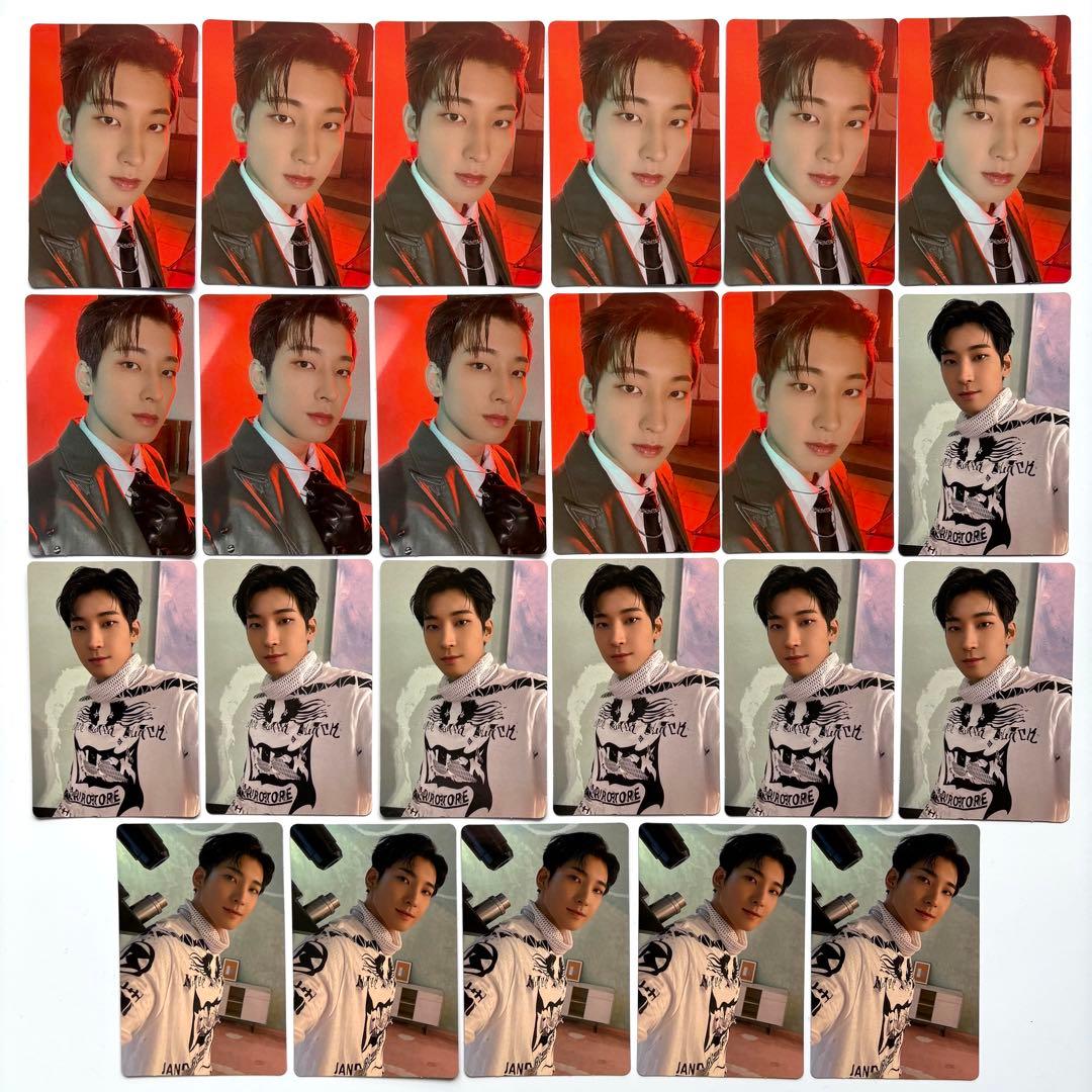 seventeen anan 缶バッジ アクスタ セブチカフェ ウォヌ ミンギュ