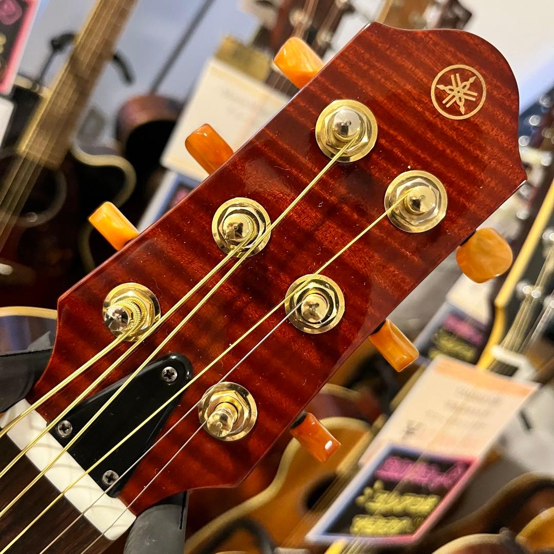 11172】限定モデル YAMAHA SLG110S fm rtb - メルカリ