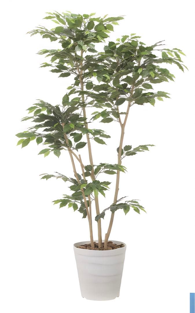 光触媒　人工観葉植物　フェイクグリーン　デザインベンジャミン1.8