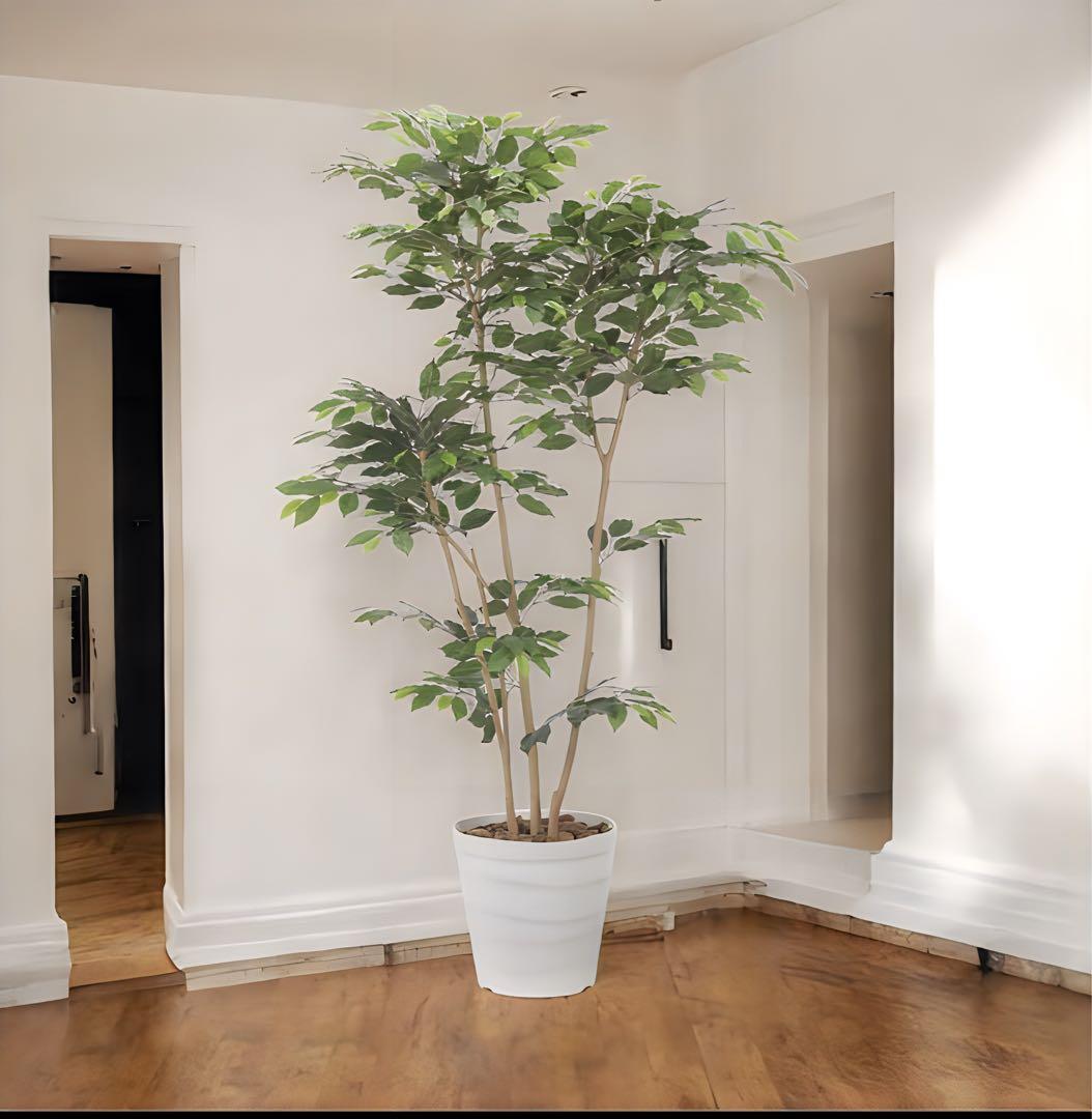 光触媒　人工観葉植物　フェイクグリーン　デザインベンジャミン1.8