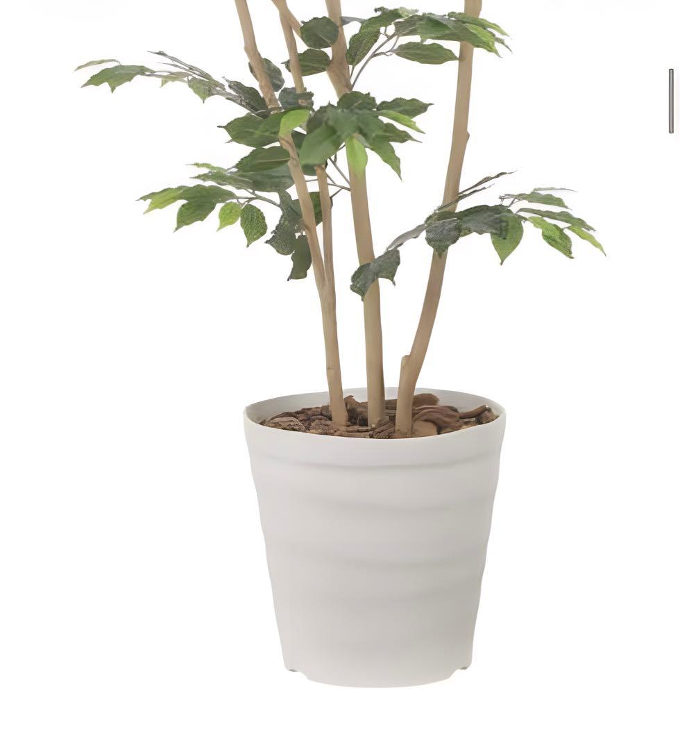 光触媒　人工観葉植物　フェイクグリーン　デザインベンジャミン1.8